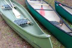 IMG-20230703-WA0019