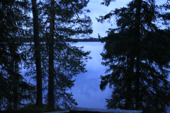 MG_2825